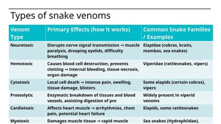 What does snake venom taste like?