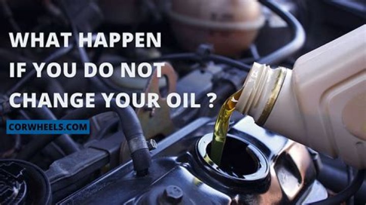 What happens if you don't put synthetic oil?