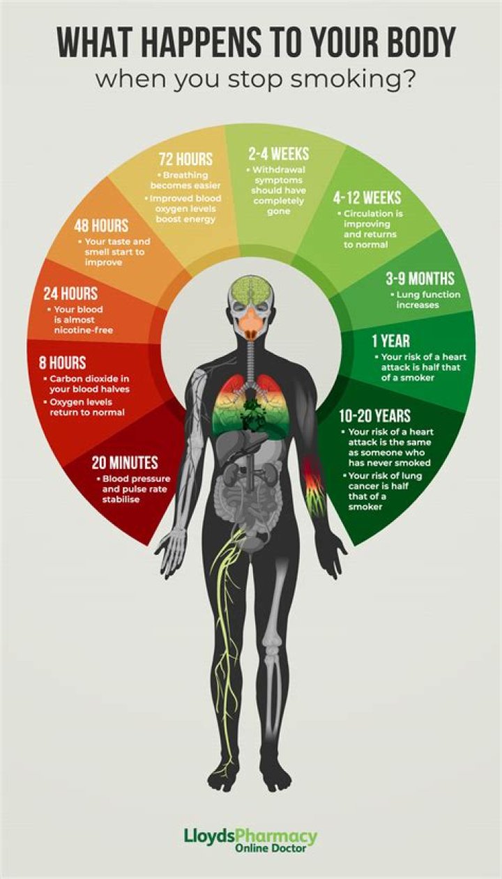 What happens to your body during a nightmare?