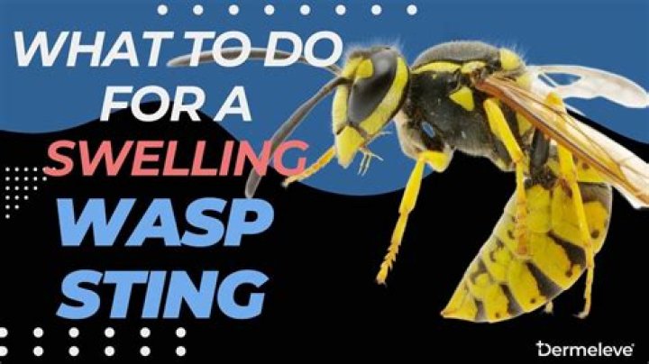 What helps swelling from a wasp sting?