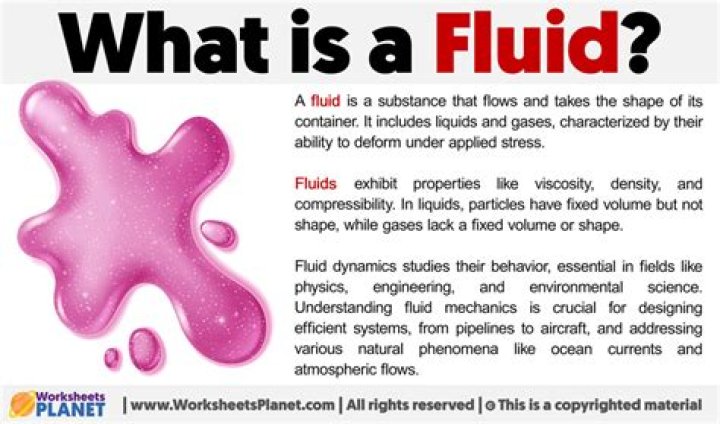 What is a fluid person?