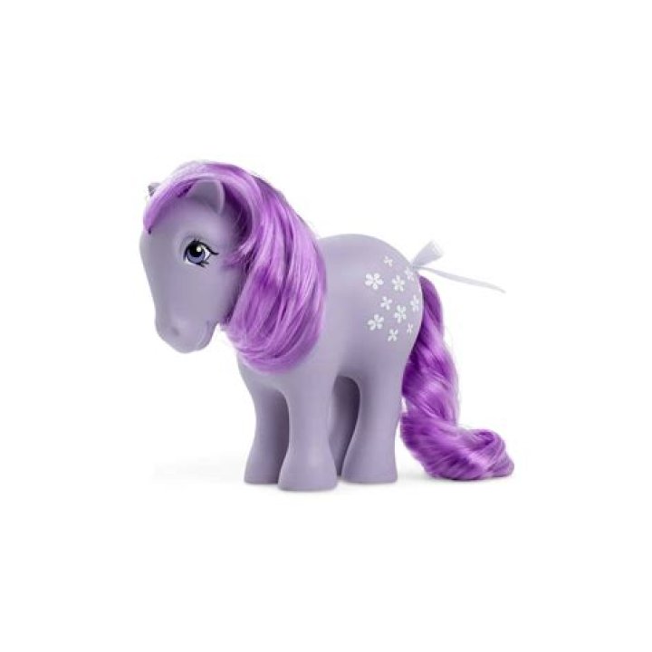 What is a male pony called?
