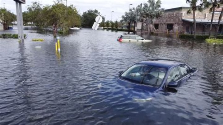 What is an A in Florida?