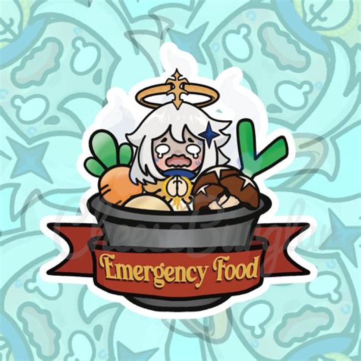 What is emergency food in Genshin Impact?