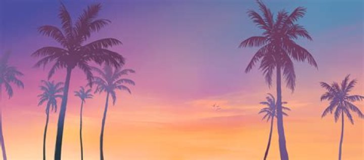 What is GTA plus?