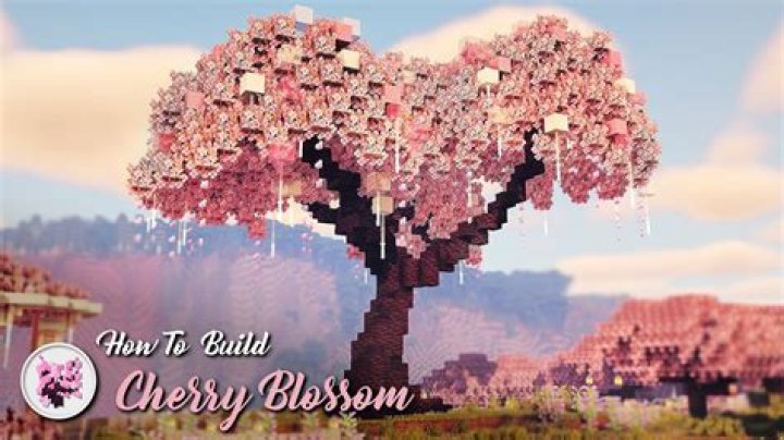 What is meant by cherry on top?