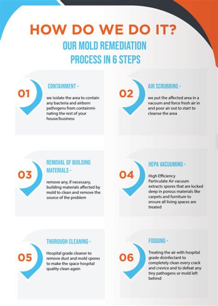 What is mold remediation process?