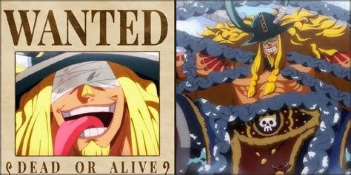 What is Queen's bounty One Piece?