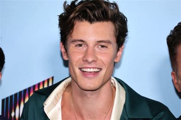 What is Shawn Mendes fans called?