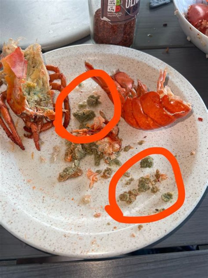 What is Tamale lobster?