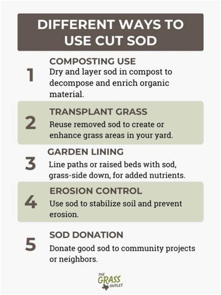 What is the best depth to cut sod?