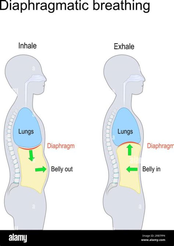 What is the difference between belly breathing and diaphragmatic breathing?