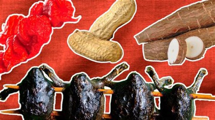 What is the most toxic food in the world?