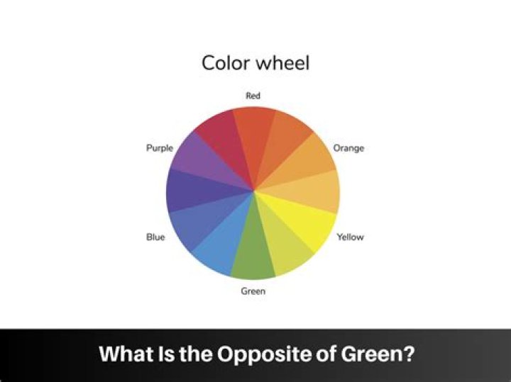 What is the opposite of Deism?