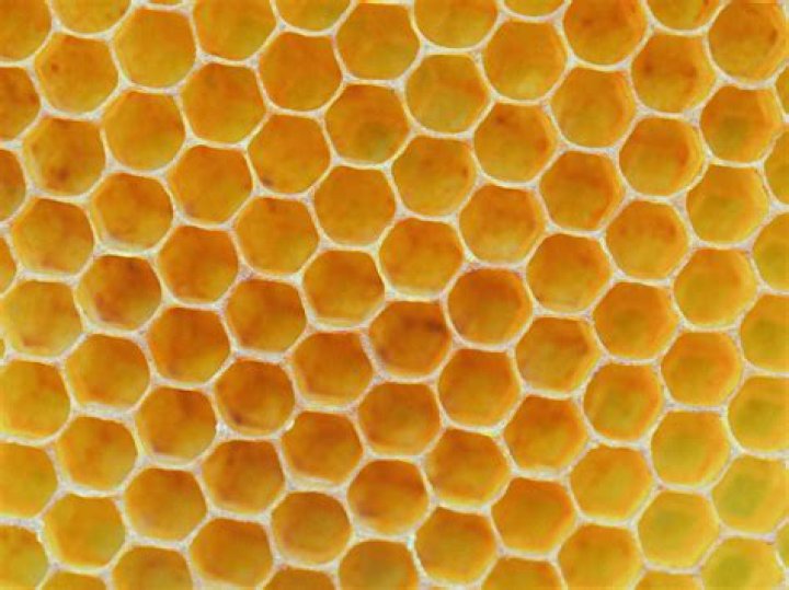 What is the purpose of a honeycomb?