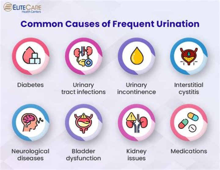 What medications can cause frequent urination?