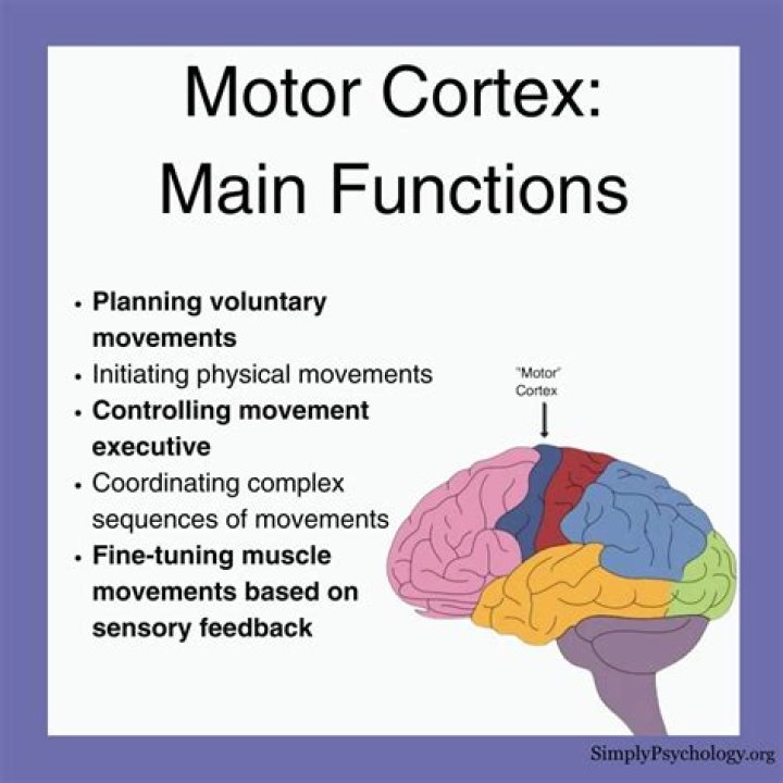 What motor is in a train?
