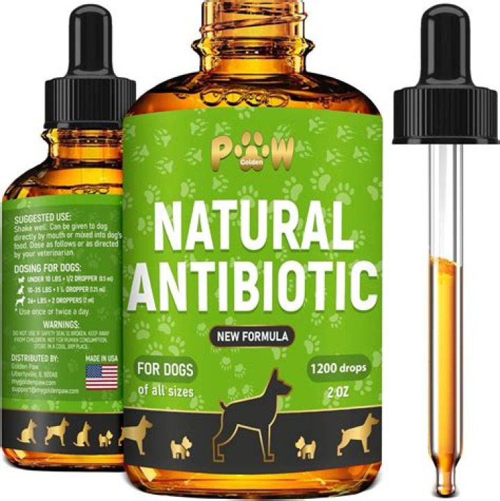 What over-the-counter antibiotics can I give my dog?