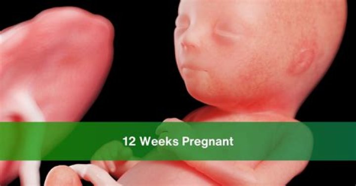 What should my belly feel like at 12 weeks?