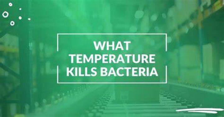 What temp kills bacteria in smoker?