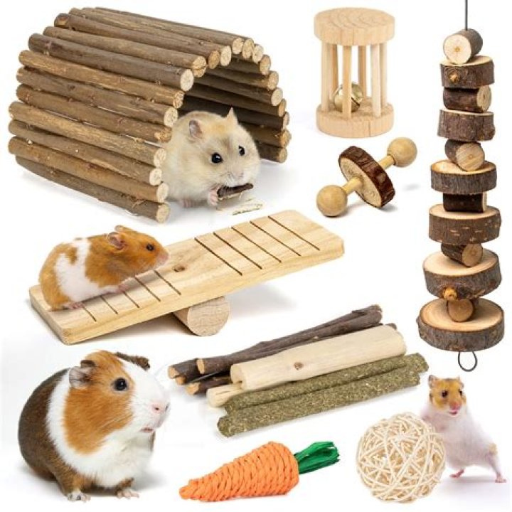 What toys are bad for guinea pigs?