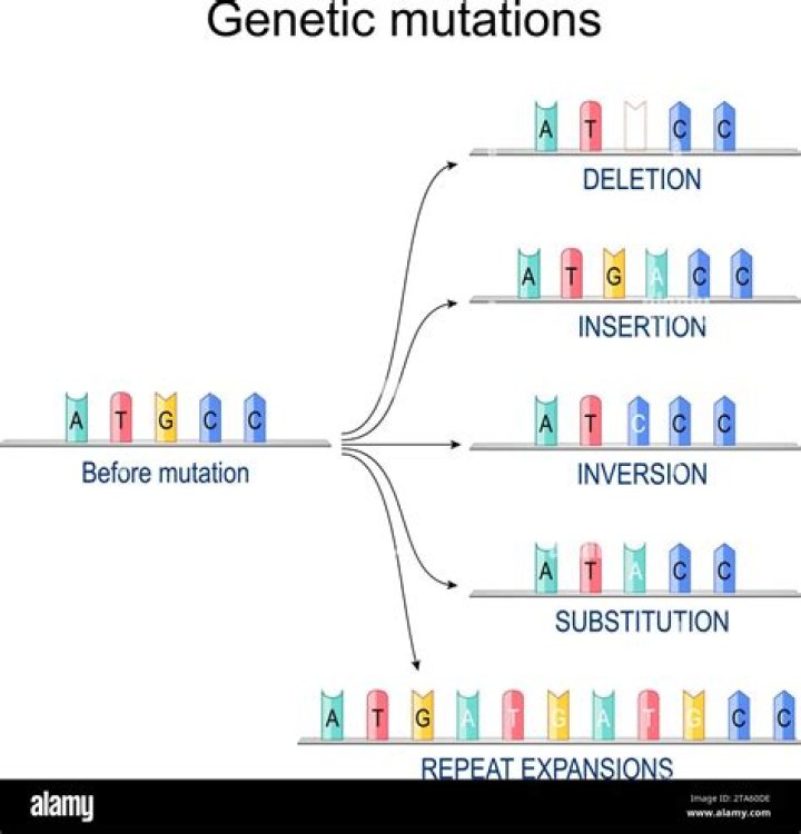 What type of mutation is recombination?