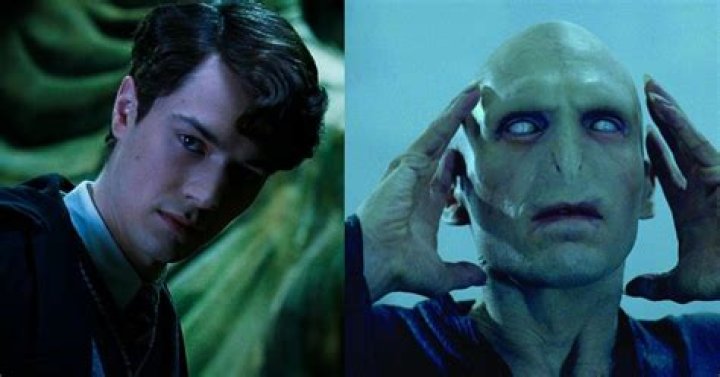 When did Voldemort meet Grindelwald?