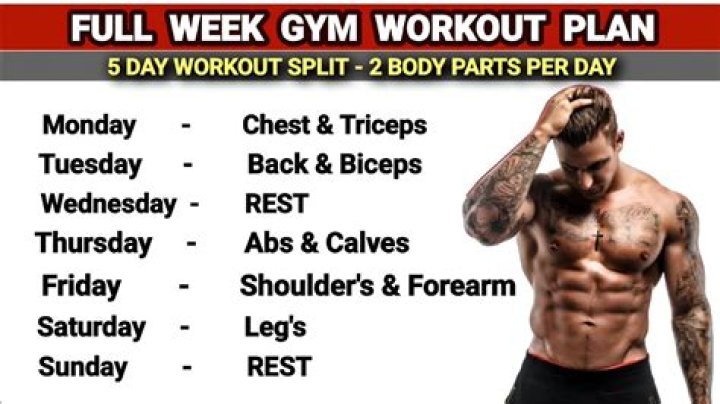 Which body part should I workout first?