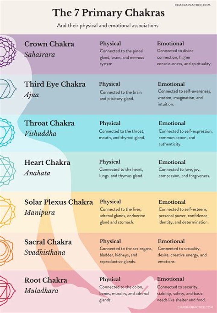 Which chakra should you open first?