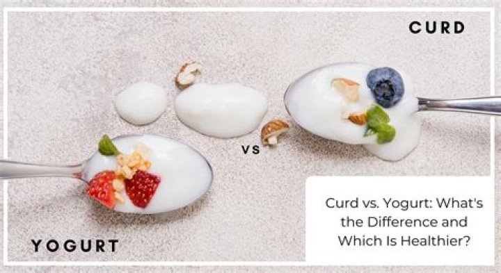 Which is better curd or lassi?