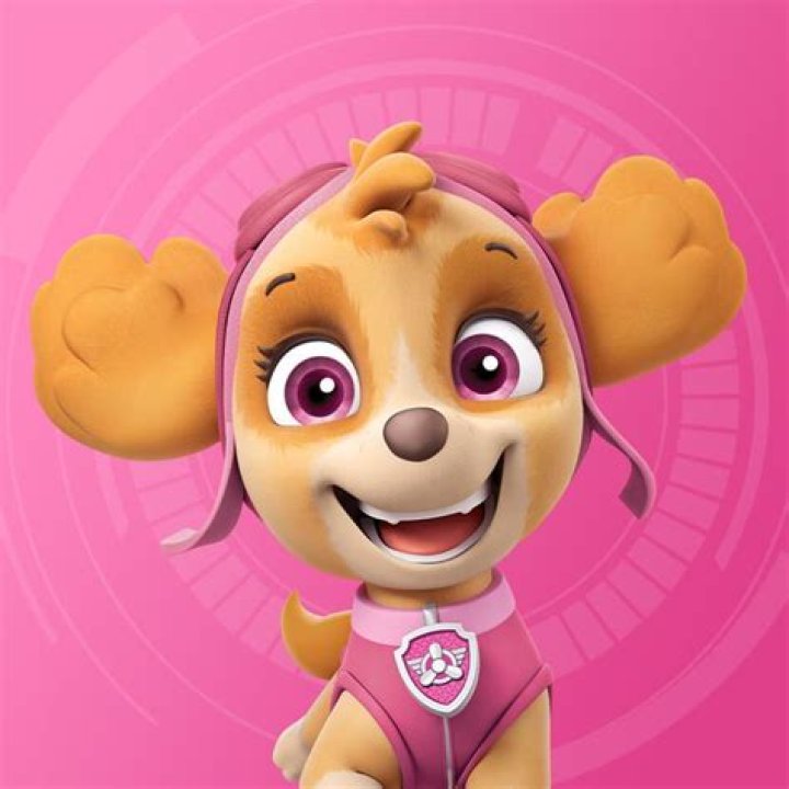 Which PAW Patrol characters are female?