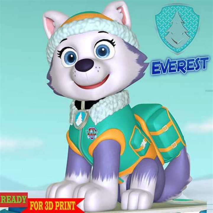 Who does Everest like in PAW Patrol?