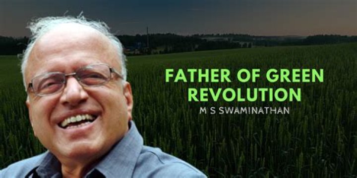 Who invented green economy?