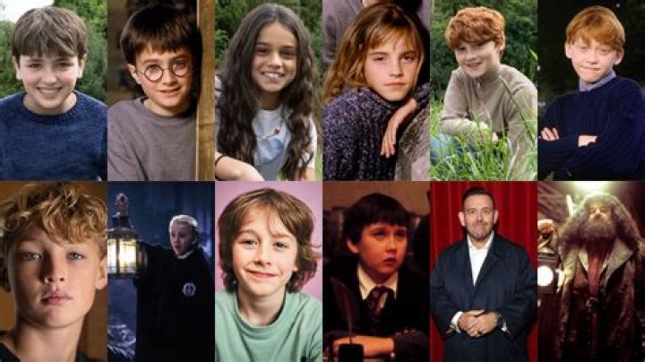Who is the real hero in Harry Potter?