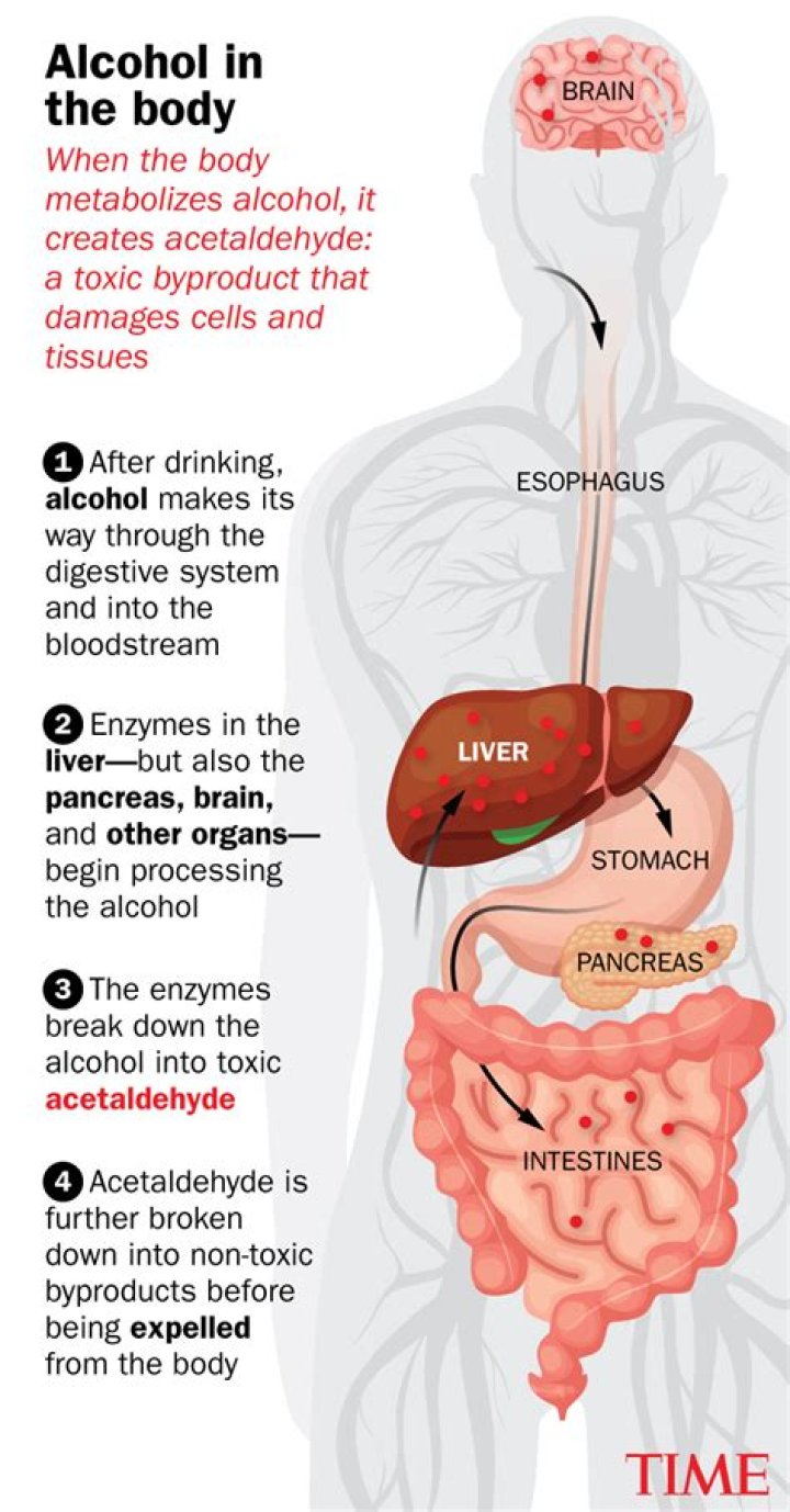 Why are alcoholics called Lush?