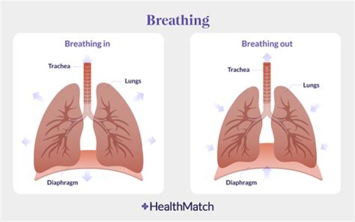 Why do I get out of breath when I talk?