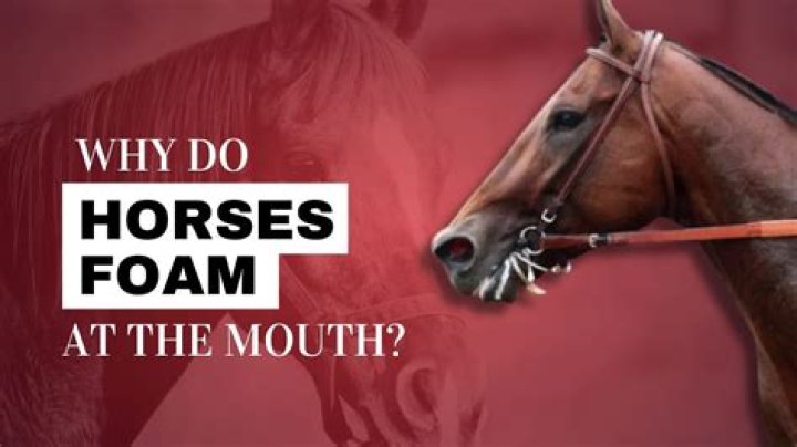 Why do you foam at the mouth when drowning?