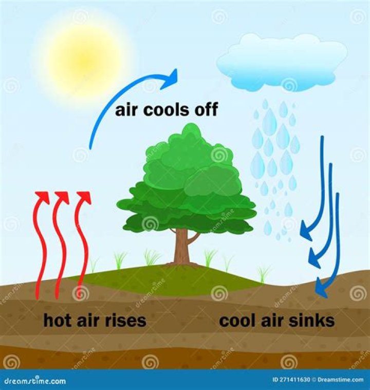 Why does heat draw out pus?