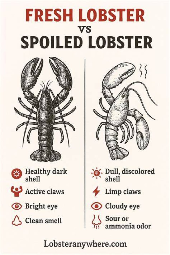 Why is my lobster shell black after cooking?