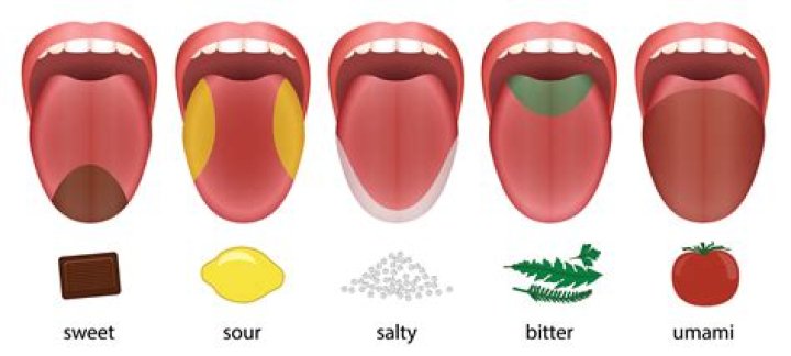 Why is my tongue bitter?