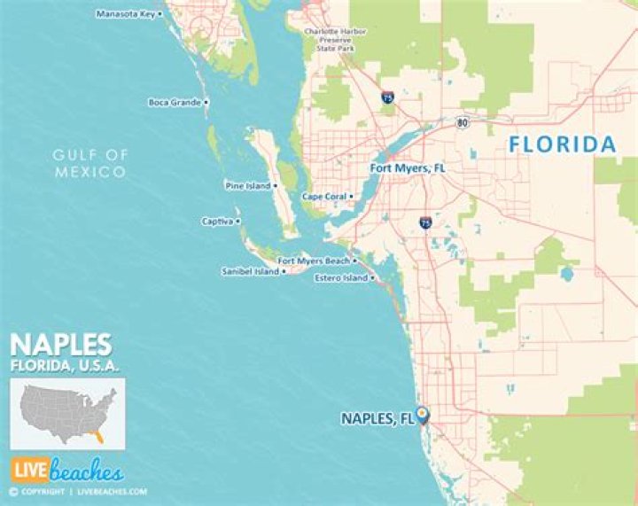 Why is Naples Florida so popular?