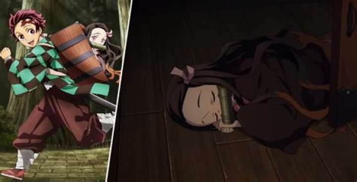 Why is Nezuko always sleeping?