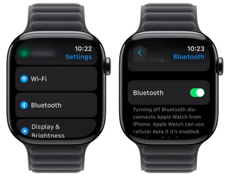 Why is there an airplane on my Apple Watch?